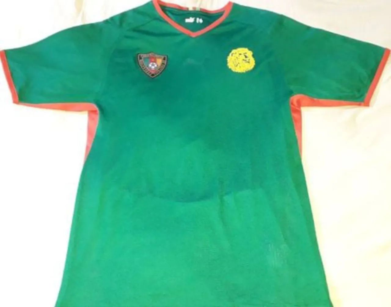 Camisa Camarões - modelo copa do mundo 2010 - Puma