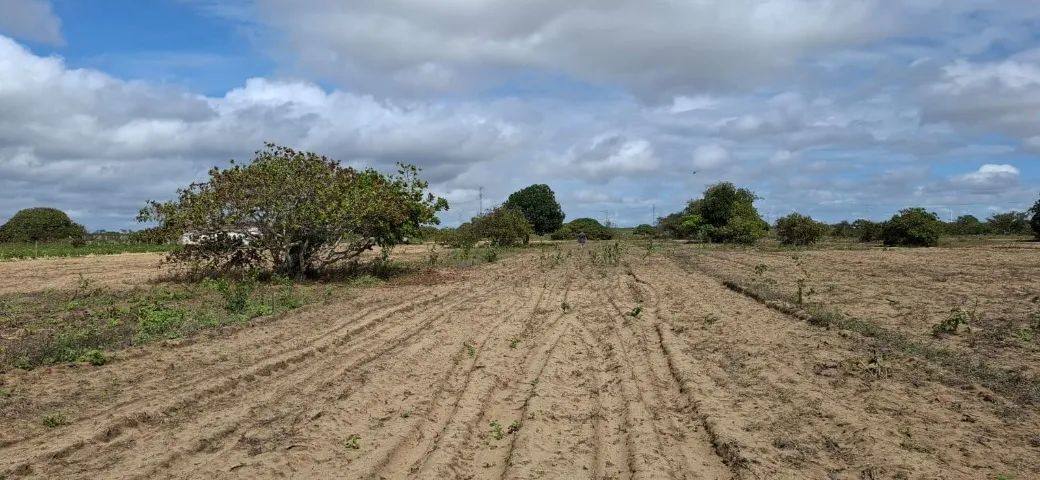Terrenos para sítio a 8 minutos do centro de Lagoa Nova - Foto 5