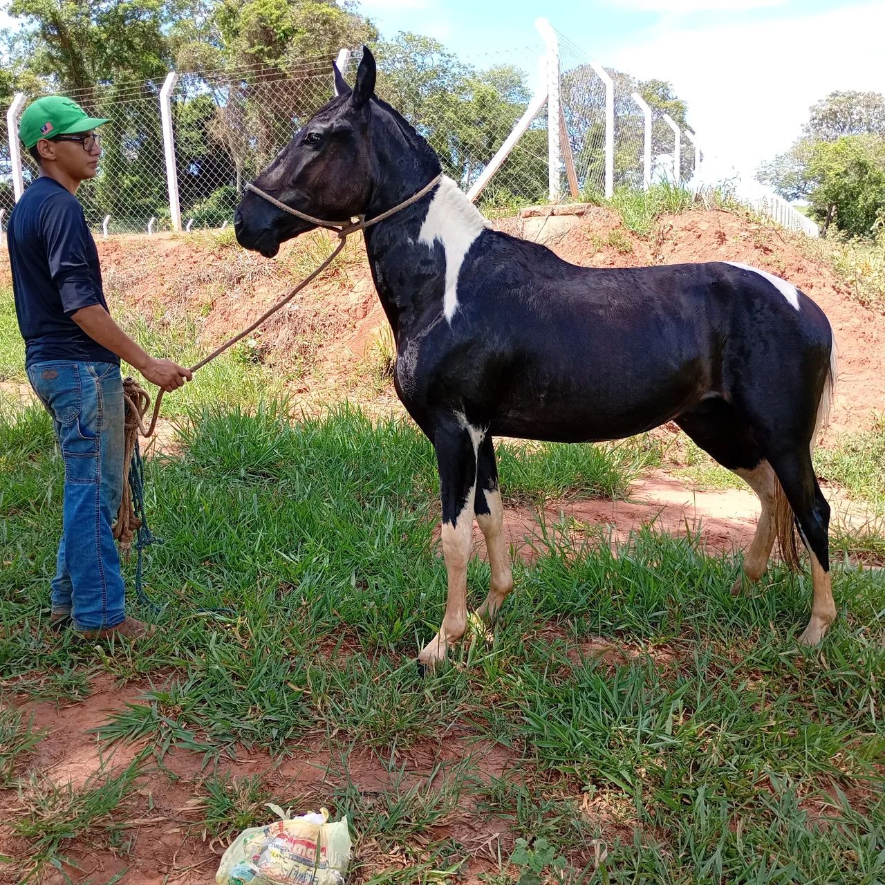 Cavalo manga larga  - Foto 3