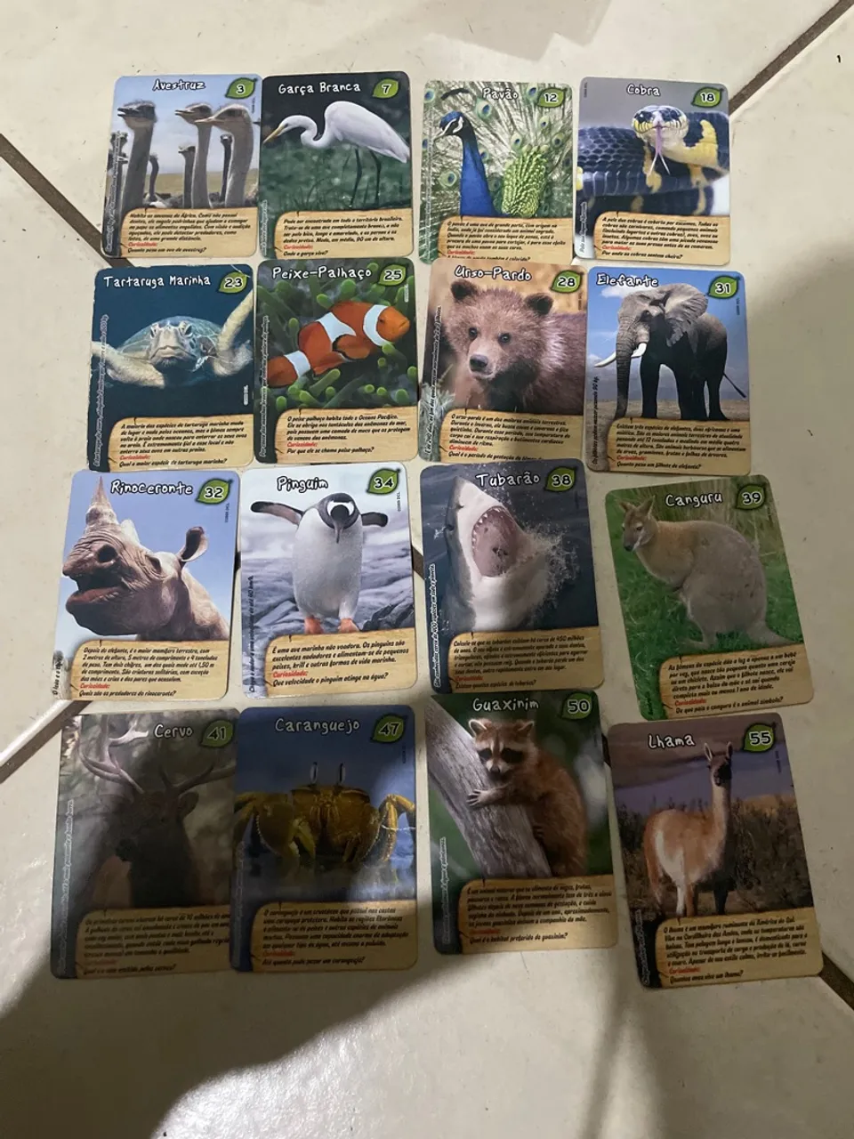 Lote de cards fandangos eco Elma chips