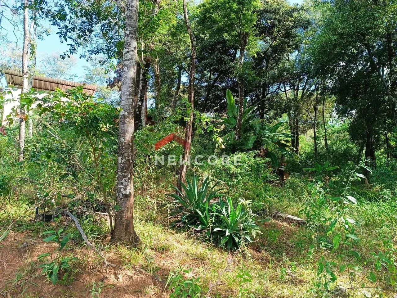 Chácara em Estrada dos Pintos - Ravena - Sabará/MG - Foto 5