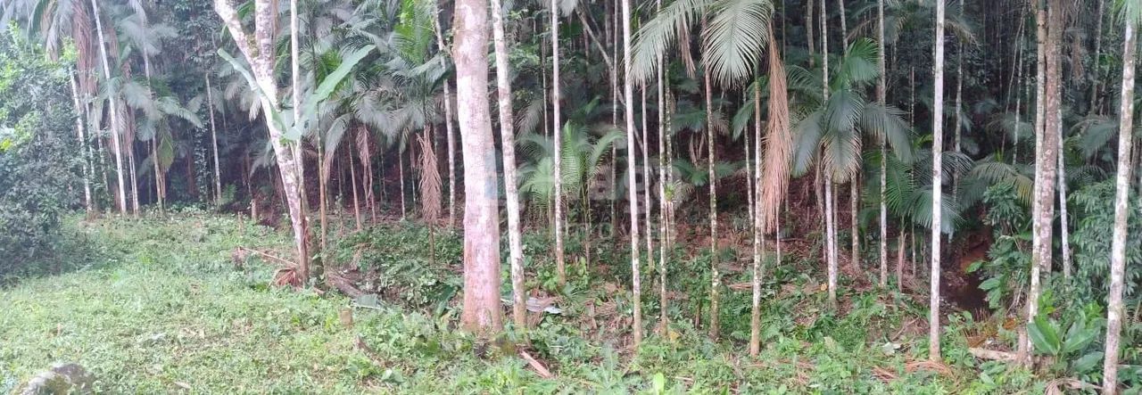 Terreno à venda em São João Batista/SC - Foto 2
