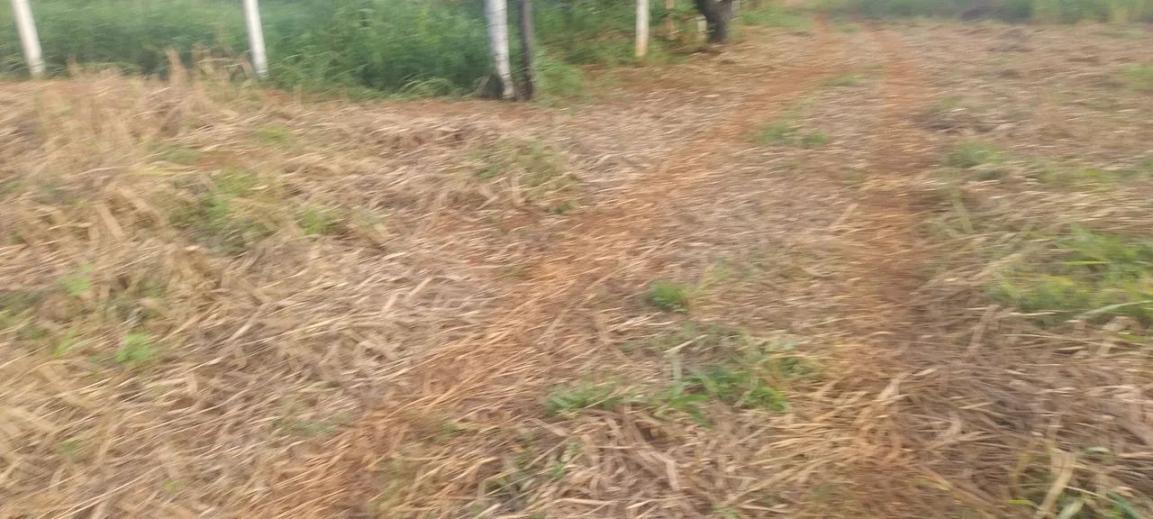 Chácrinha região Hidrolândia $28.900 - Foto 4