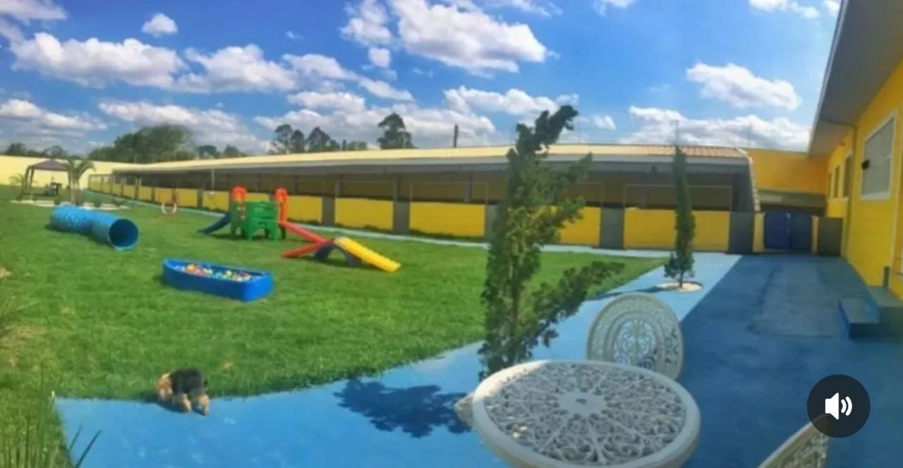 Maltês macho fêmea  - Foto 4