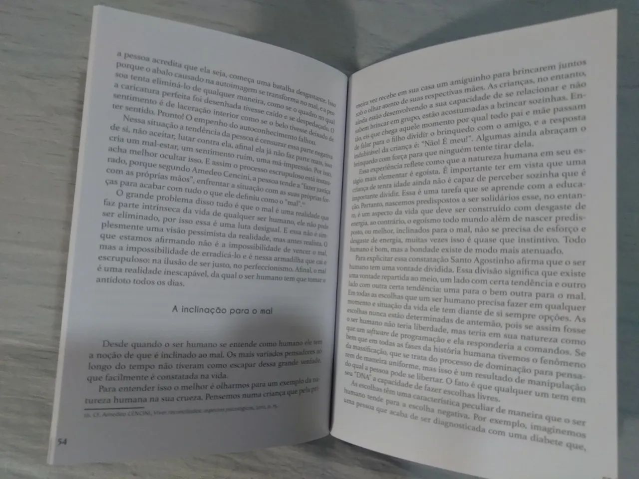 Livro Maestro da Própria Vida - Padre Rafael Vieira, SCJ - Foto 2