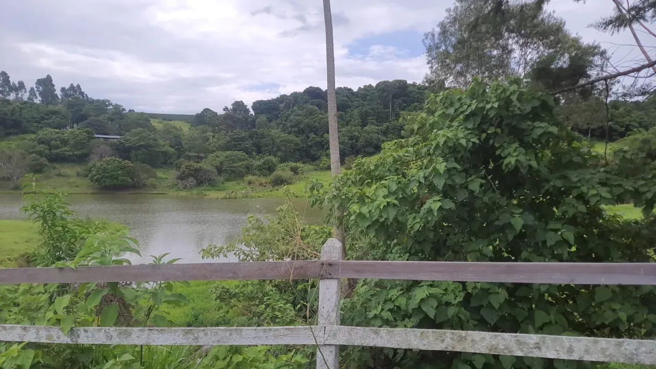 Fazenda para lazer(vida) ,pecuária boi - Foto 3