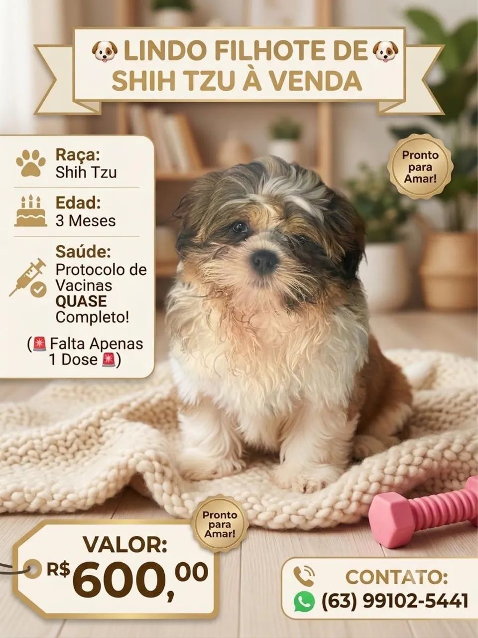 Pet