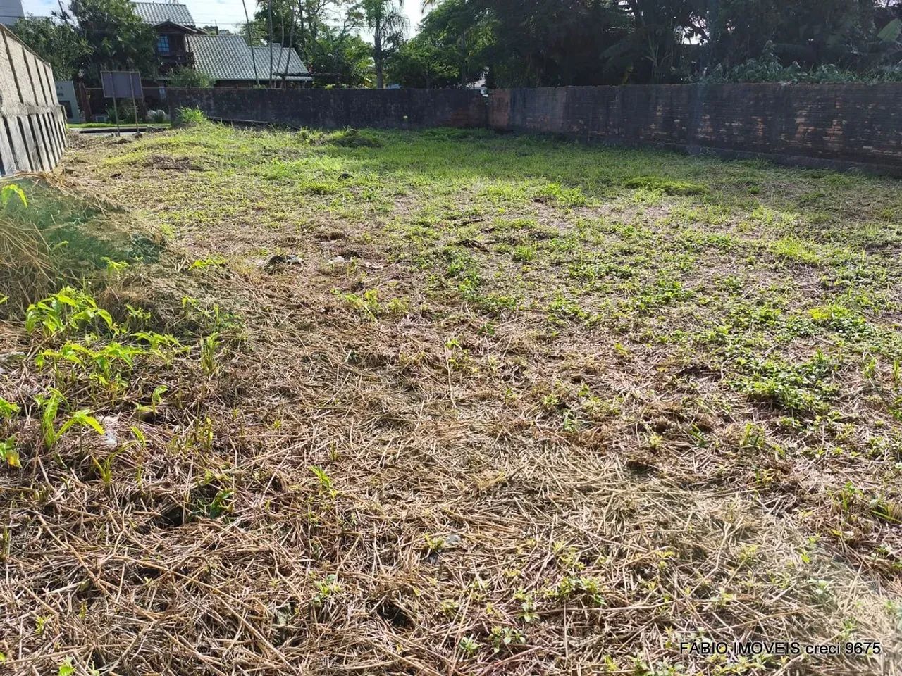 LOTE/TERRENO À VENDA - PRAIA DA DANIELA - FLORIANÓPOLIS - SC. - Foto 5