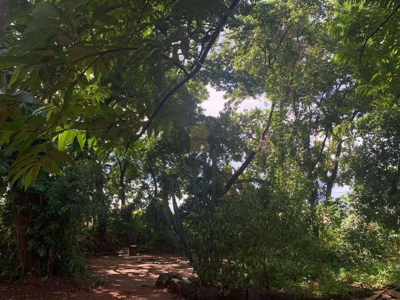 TERRENO - VENDA - Parque do Lago - Várzea Grande/MT - Foto 4