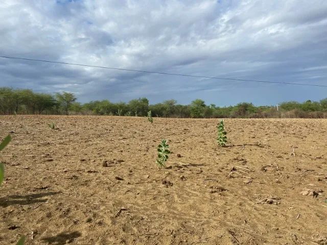 Vendo terreno com 20 hectares