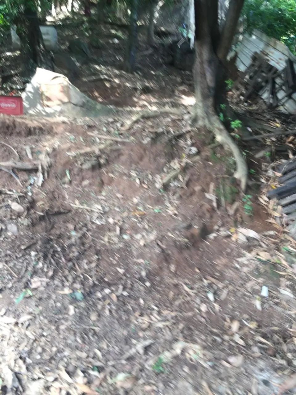 Vendo terreno  - Foto 4