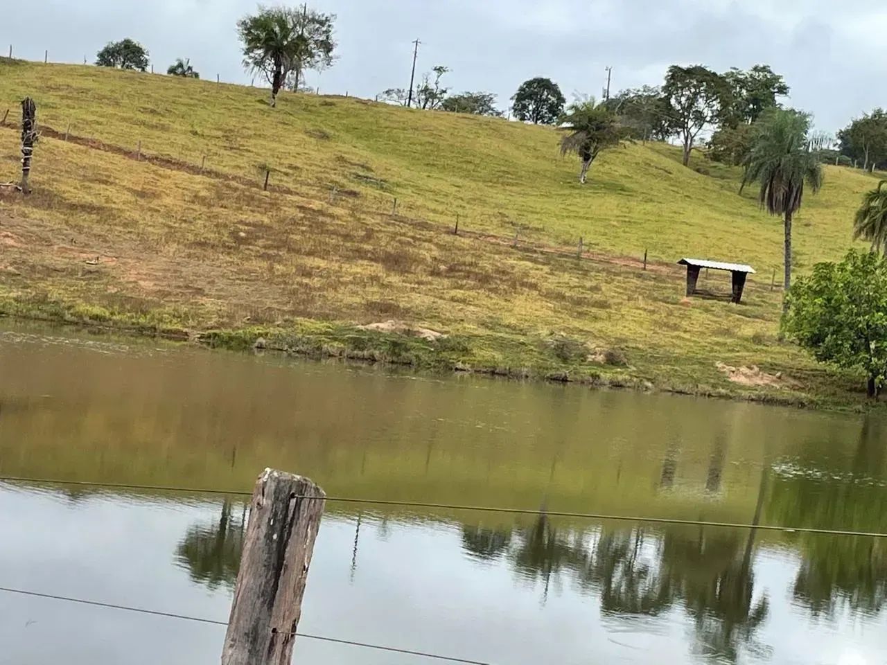Fazenda a venda em Trindade - Goiás!!! - Foto 2