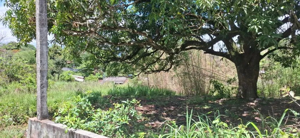 Terreno 7.000m2 em Itaboraí - Foto 5