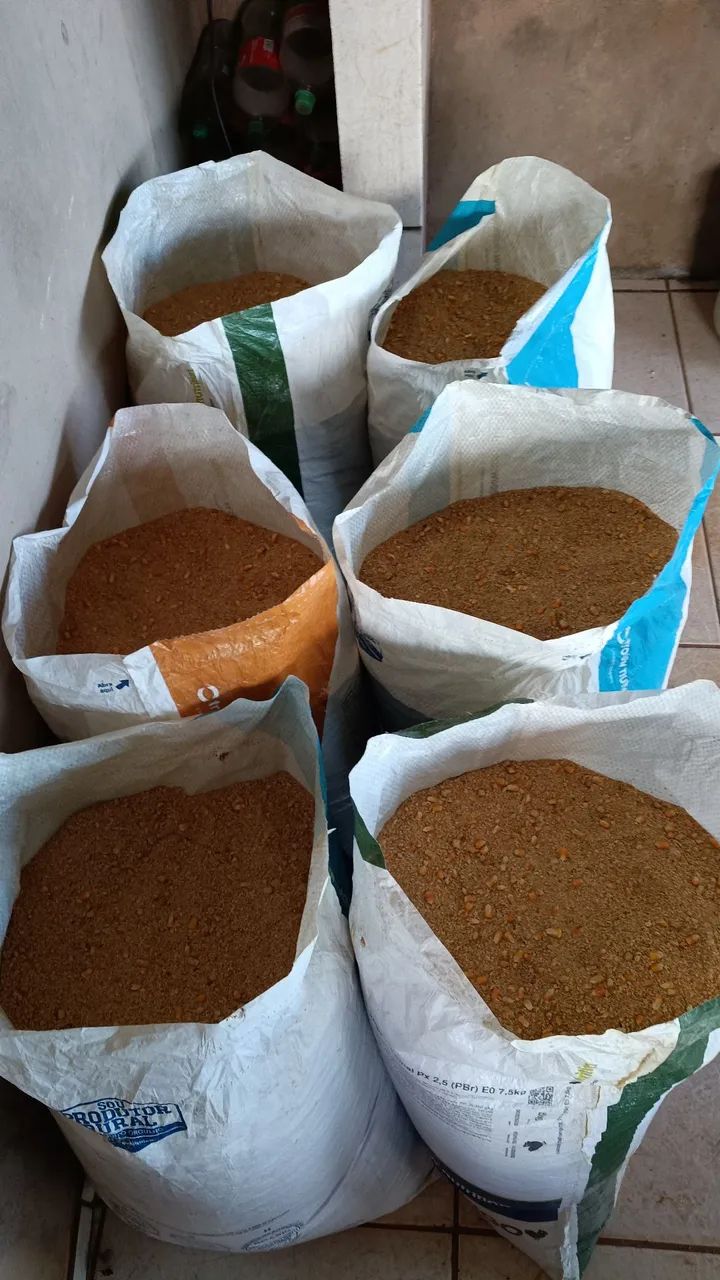 soja triturada com milho