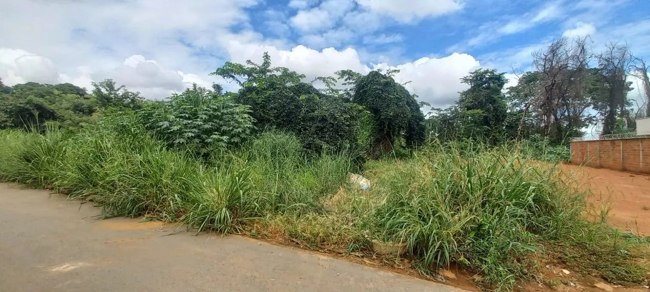 Lote - Setor Faiçalville - Foto 4