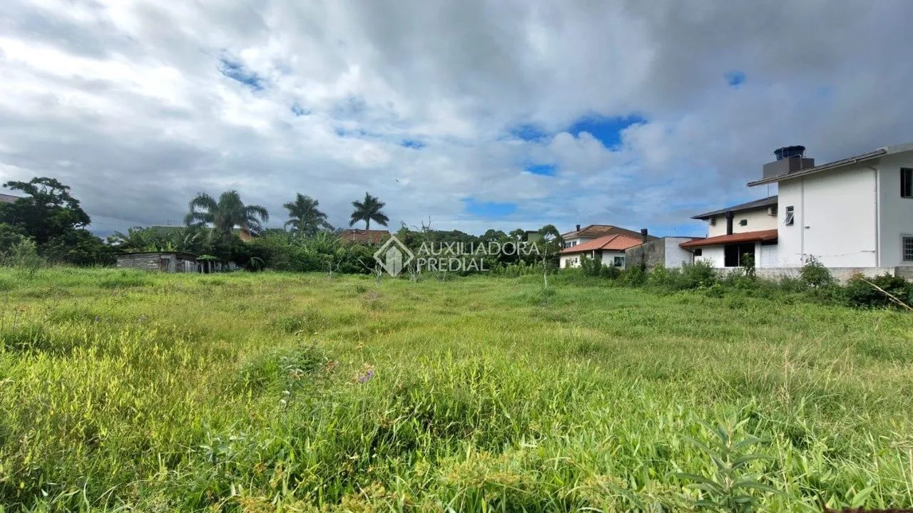 Terreno à venda no Centro da Praia da Pinheira - Foto 2
