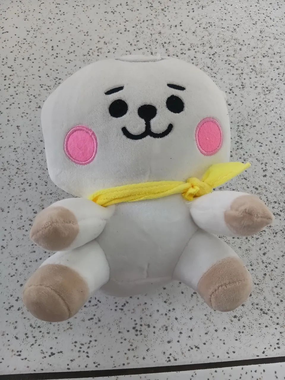 RJ BT21
