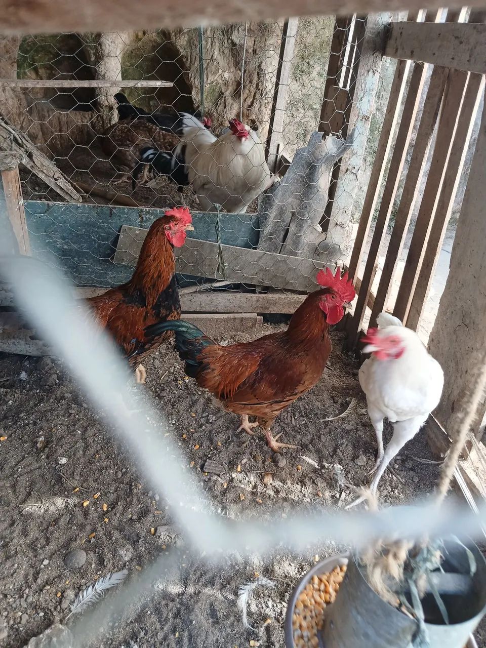 Ótima qualidade  - Foto 3