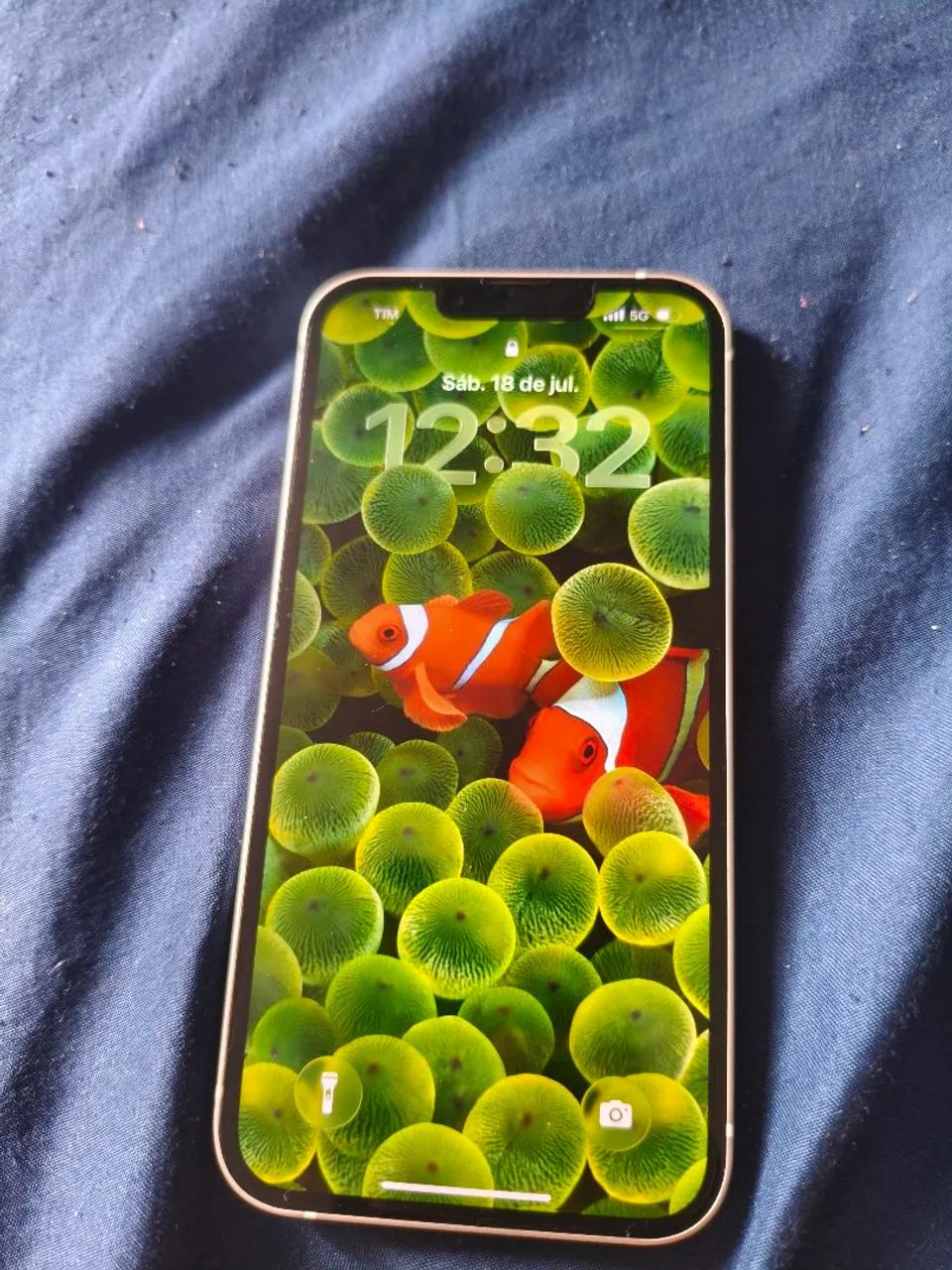 iPhone 13