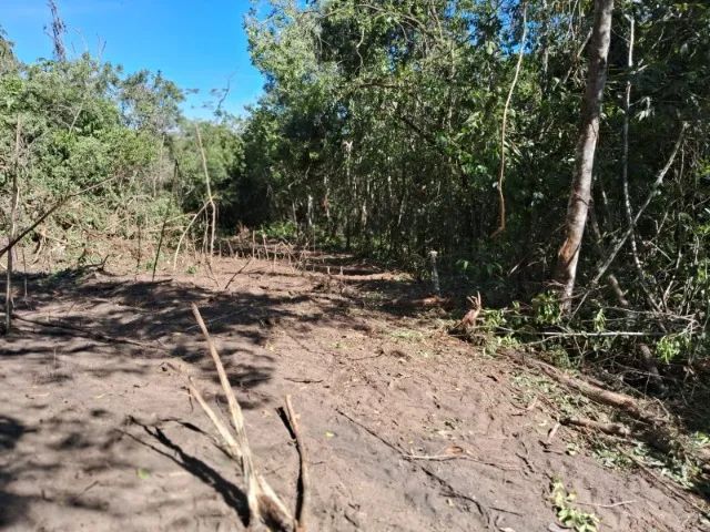 Chacára 2000mt em Bonfinópolis 7km da Cidade - Foto 3