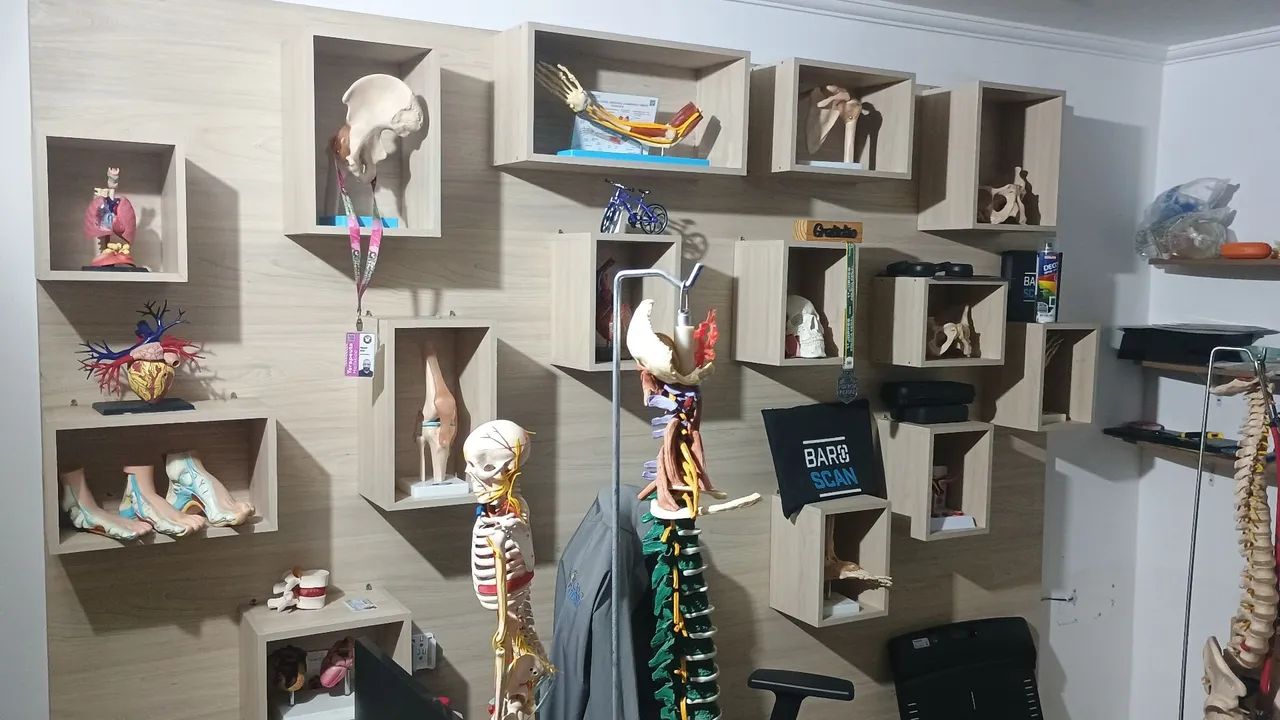 Modelos anatômicos variados  - Foto 2