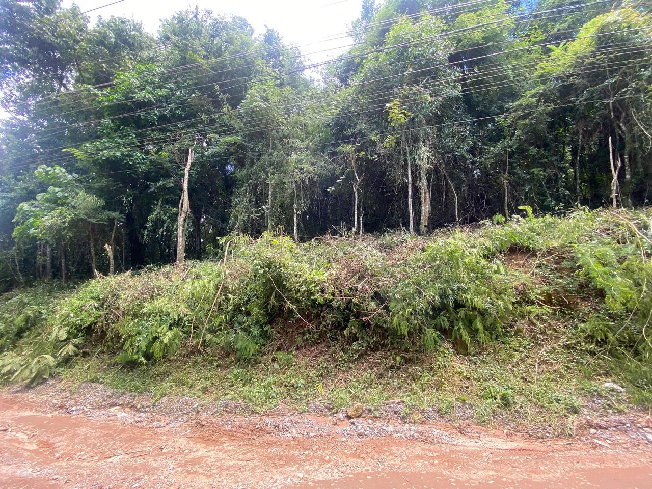 Foto - Mairiporã - 