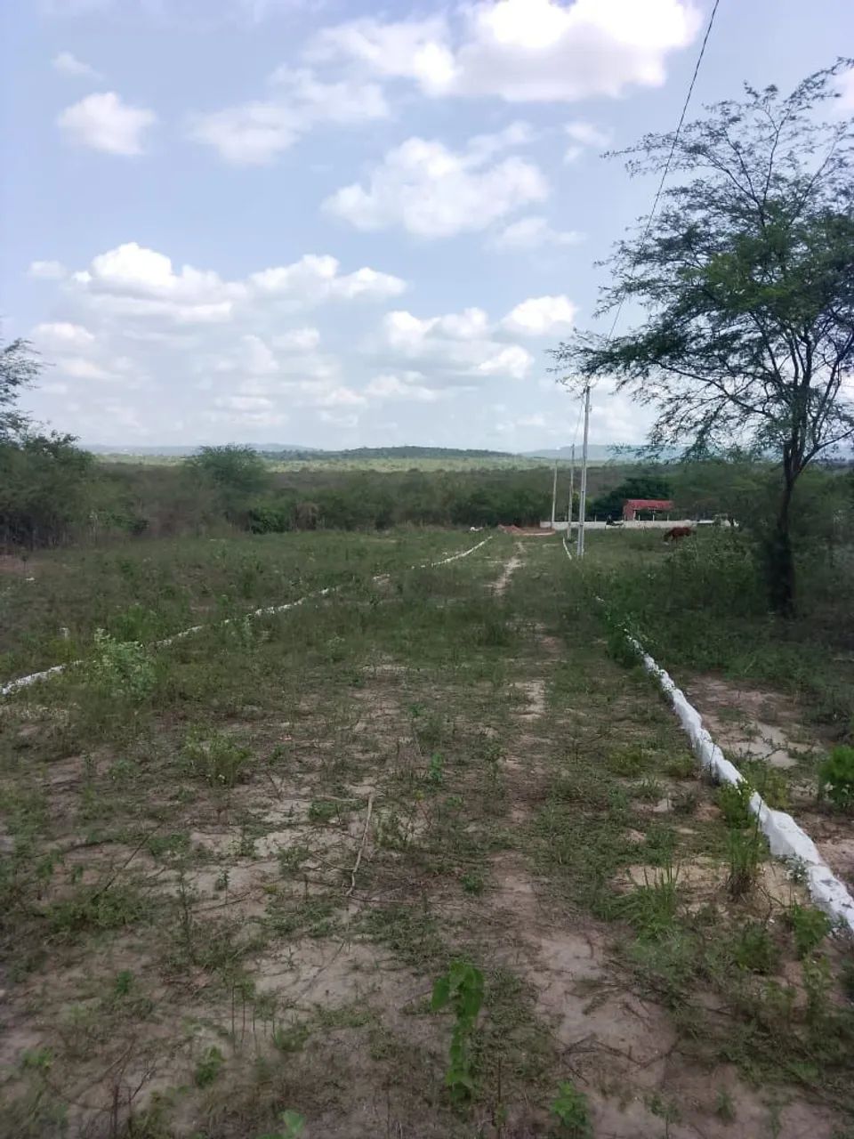 Foto - Caruaru - Serrote dos Bois de Cima