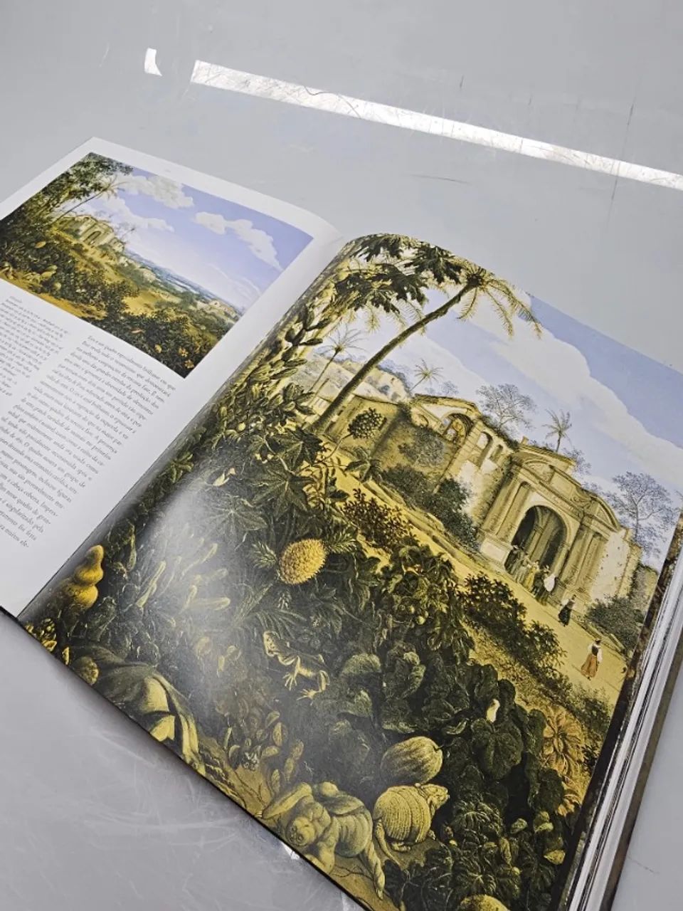 Livro Grande Frans Post Obra Completa - Foto 2