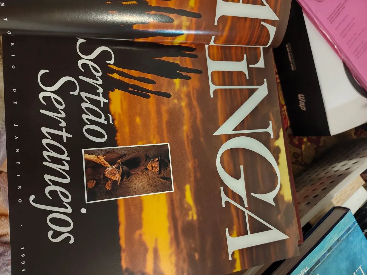 Livro Caatinga Sertão Sertanejo 1994 - Foto 4