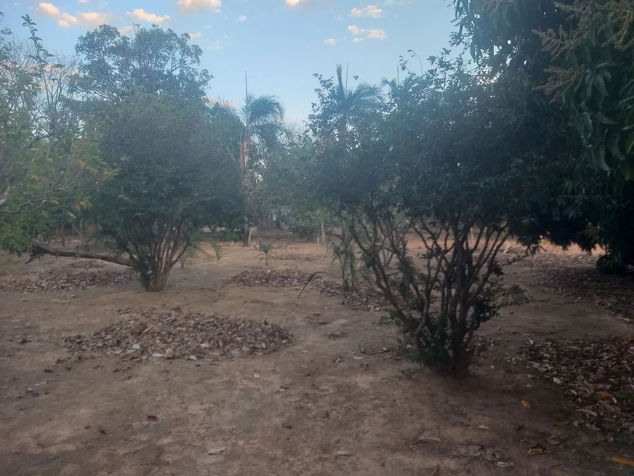Vendo Sitio com 10 hequitares - Foto 5