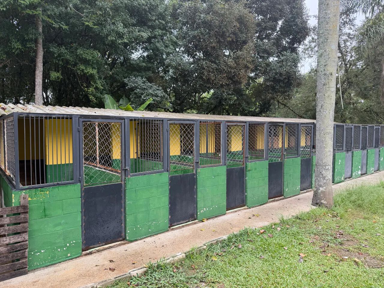 Hotel, creche e centro de treinamento de cães - Foto 4