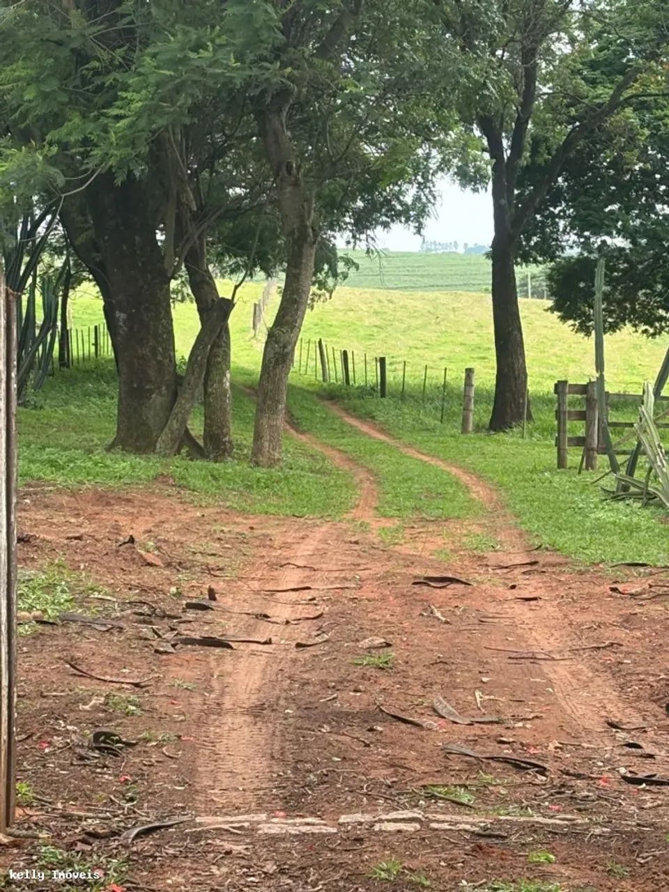 Chácara para Venda em Martinópolis / SP no bairro Rural - Foto 3