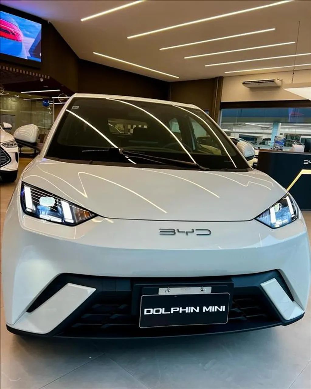 BYD Dolphin Mini (Elétrico) 2027 - Foto 2