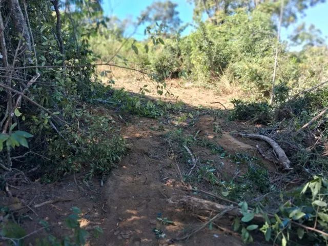 Chacára 2000mt em Bonfinópolis 7km da Cidade - Foto 2