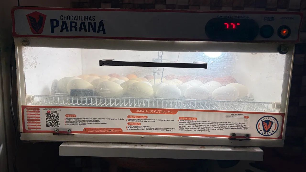 Chocadeira