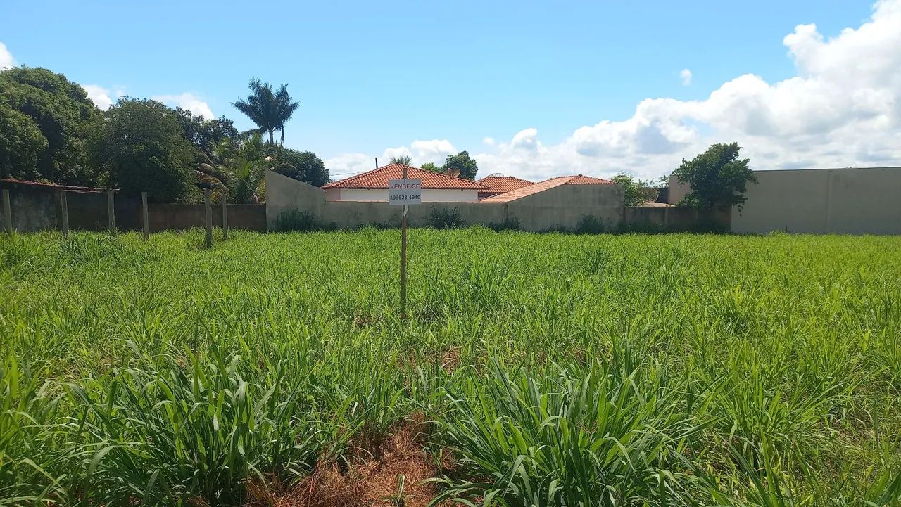 Terreno para rancho Planura