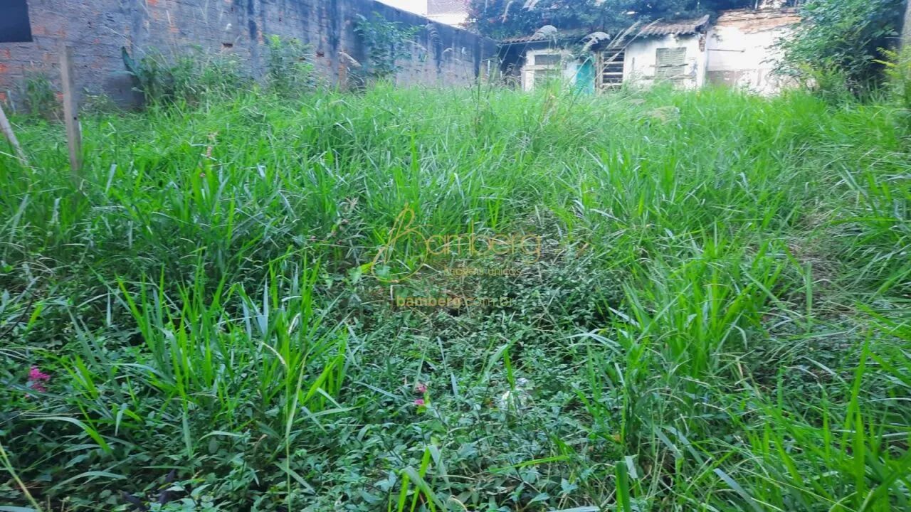 Terreno alto da Boa Vista - Foto 3