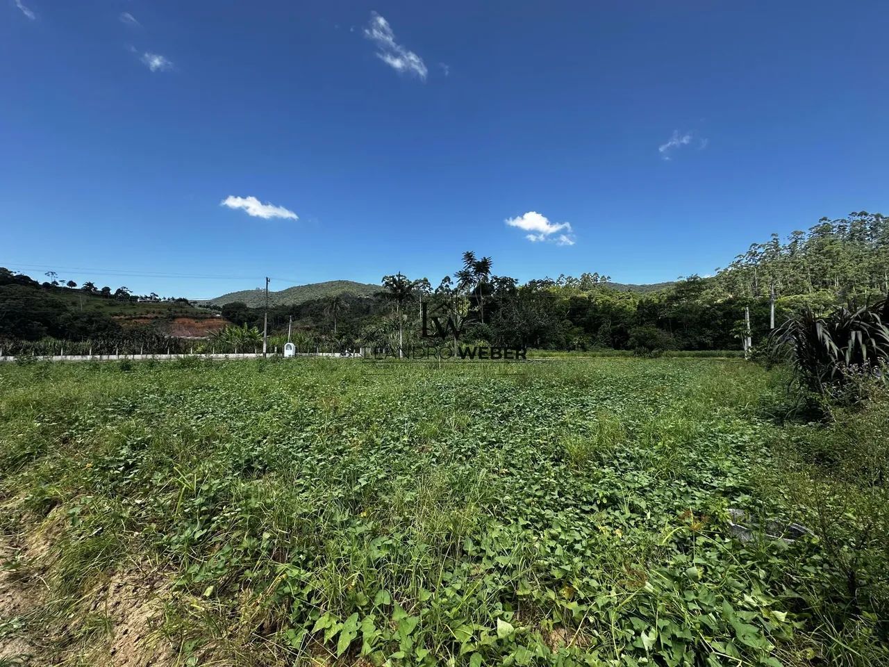 Terreno com 1.303,76m² - Com Escritura - Antônio Carlos - SC - Foto 4