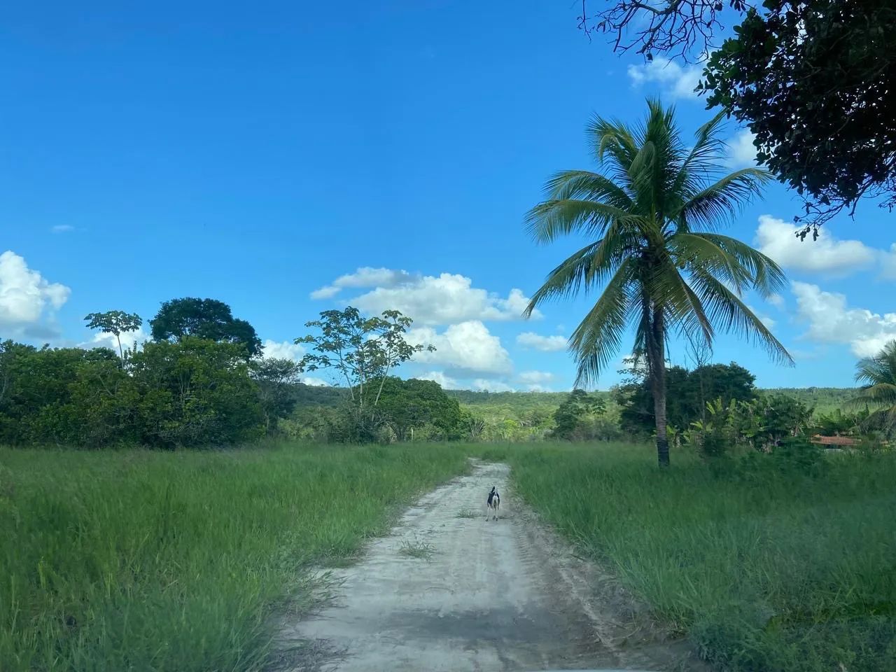 Sítio em Entre Rios - Foto 5