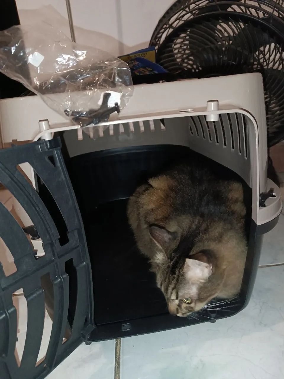 Caixa de transporte cão/gato