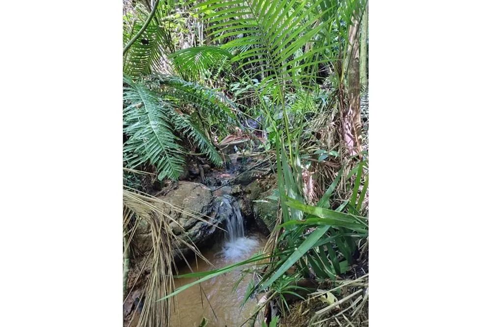 Fazenda em Ibitirama: Natureza e Tranquilidade - Foto 5