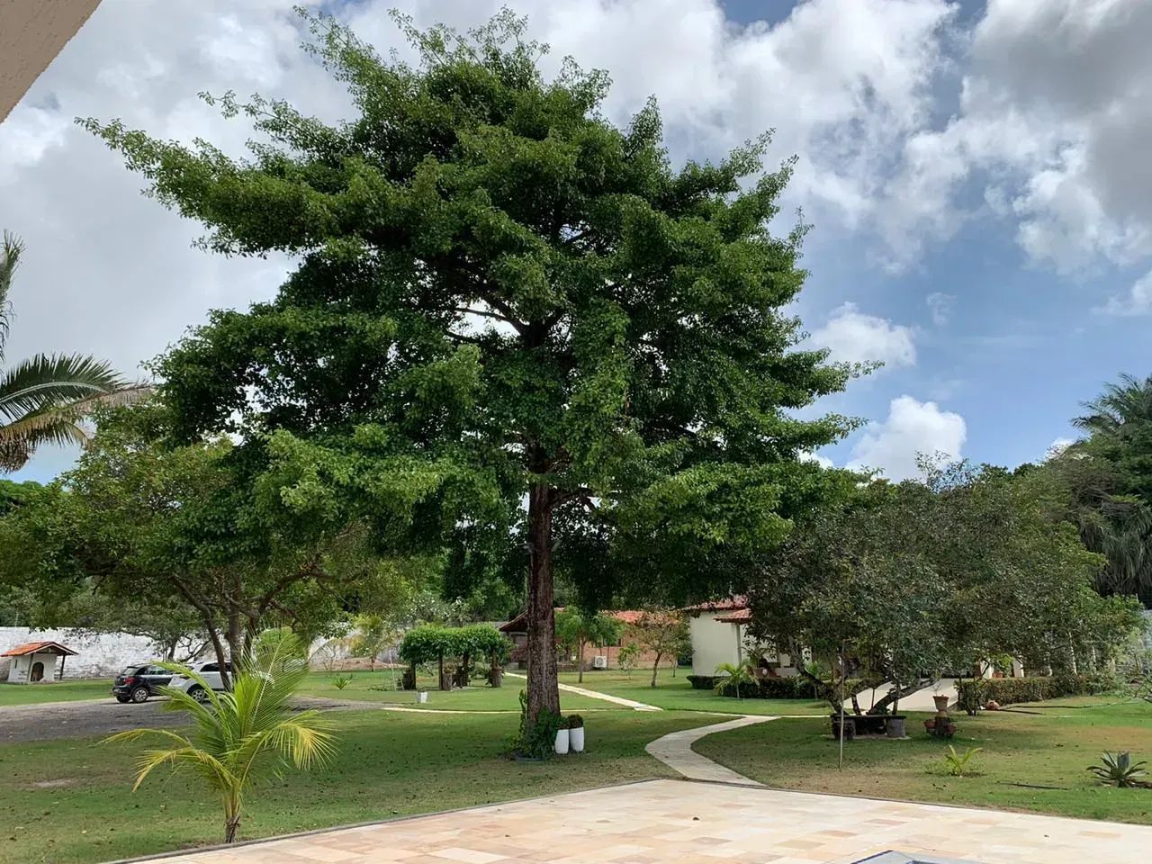PARQUE BOB KENNEDY - CHÁCARA - Foto 5
