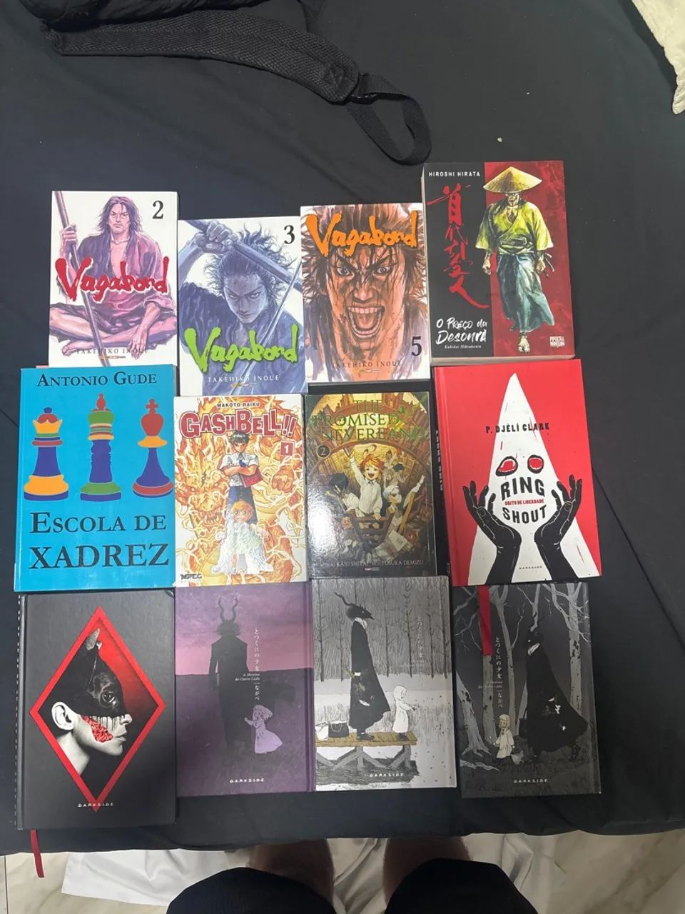 Livros e mangás variados