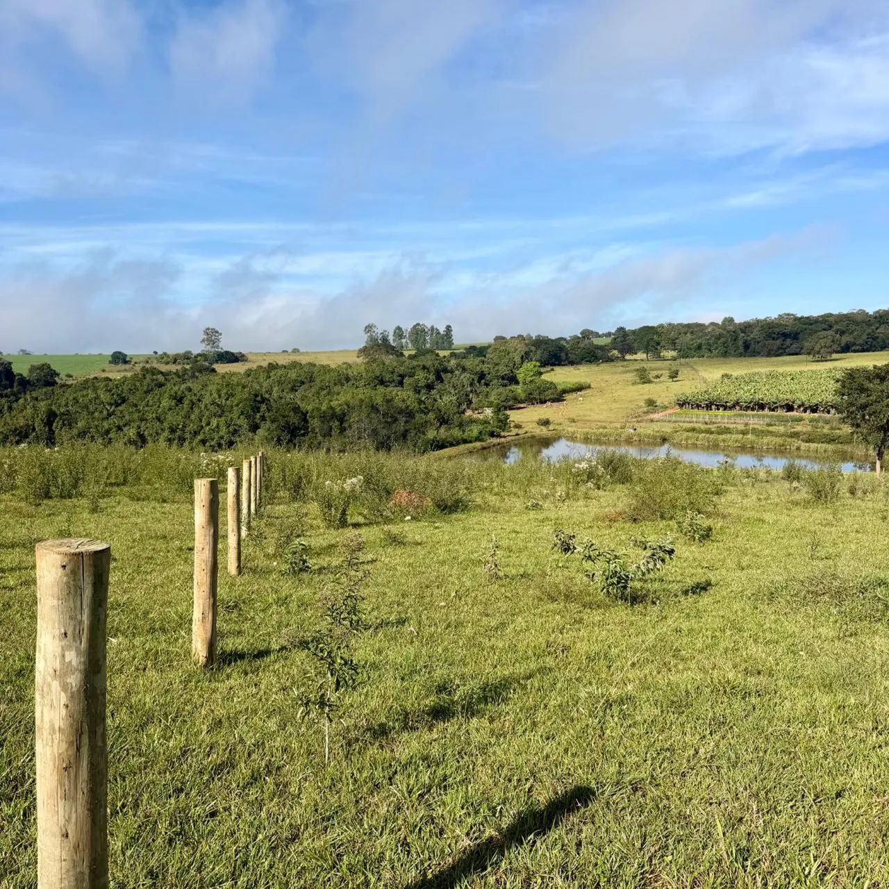 Terreno 12.000m2 em Anápolis GO - Foto 2