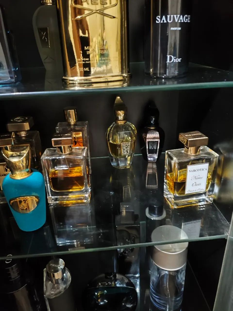 LOTE DE PERFUMES IMPORTADOS (NICHO E DESIGNERS) - ACERVO PESSOAL