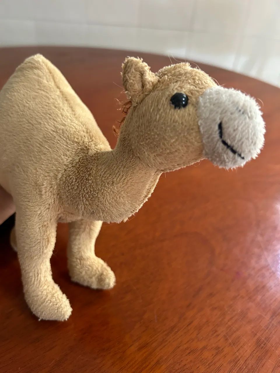 Camelinho de Dubai  - Foto 5