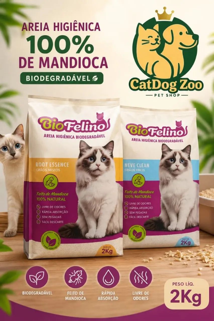 Areia Gato  - Foto 4