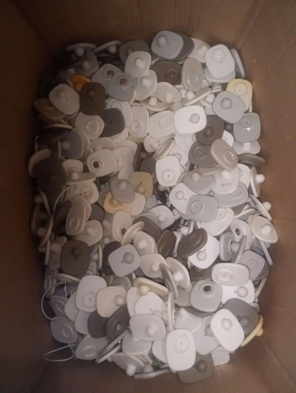 Etiqueta Rígida anti-furto  - Foto 2