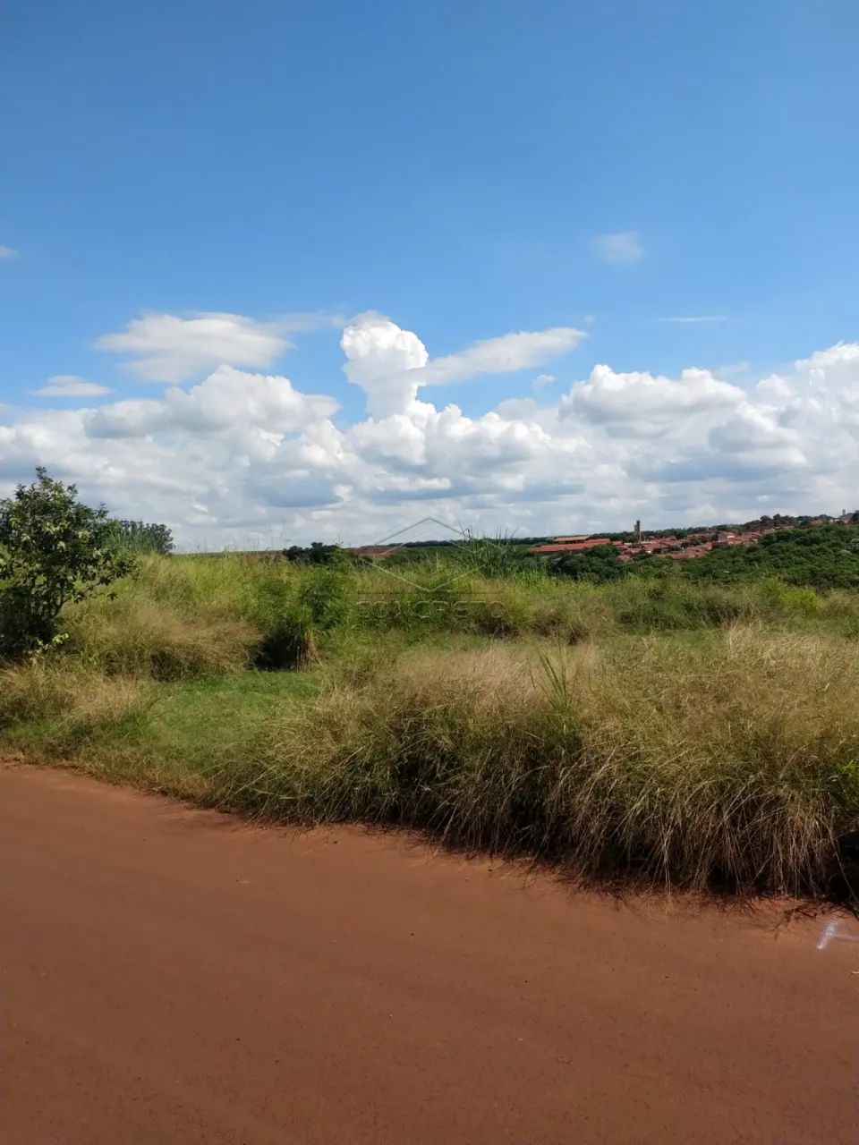 JARDIM CONQUISTA-IGARAÇU DO TIETÊ/SP - Foto 2