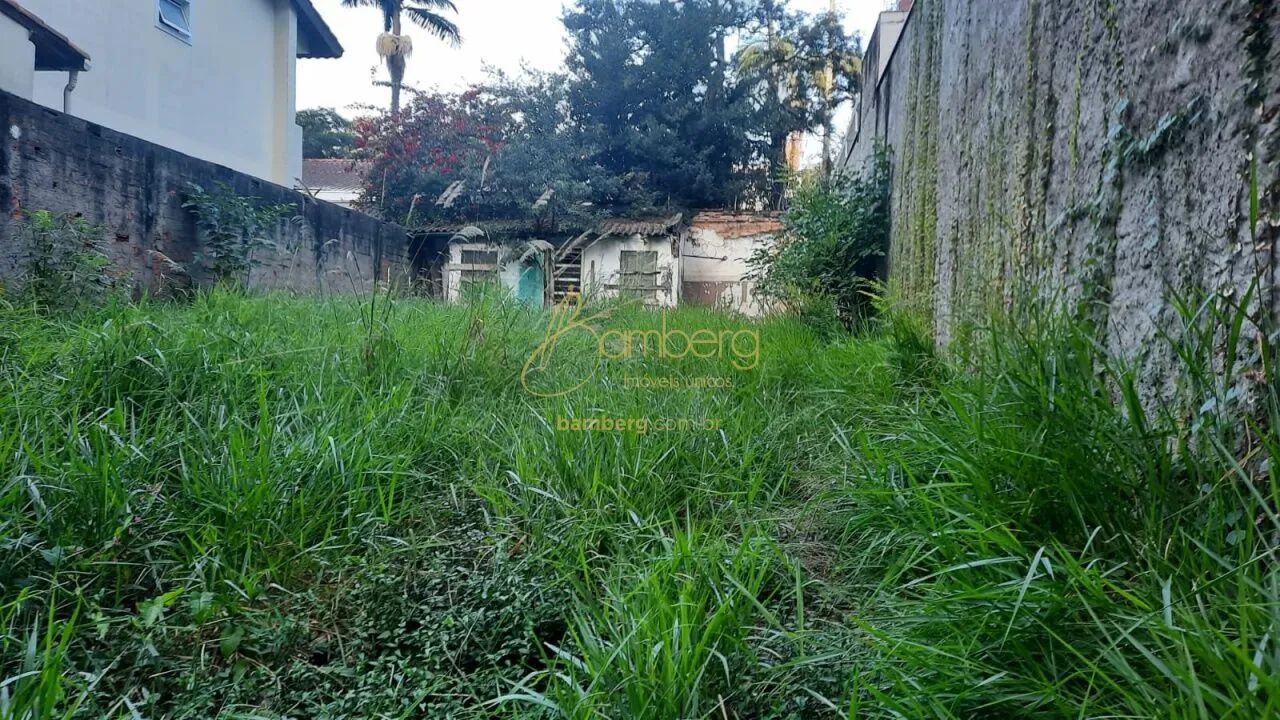 Terreno alto da Boa Vista